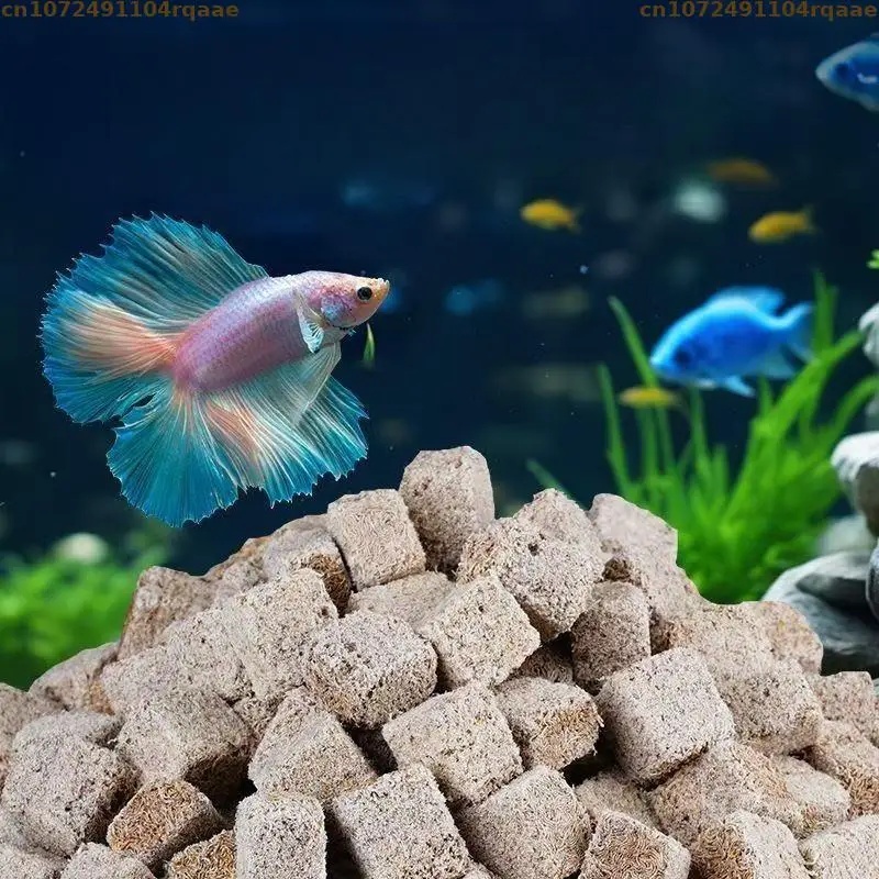 Natural Freeze Dried Bloodworm - Marine Aquarium Worms review and price