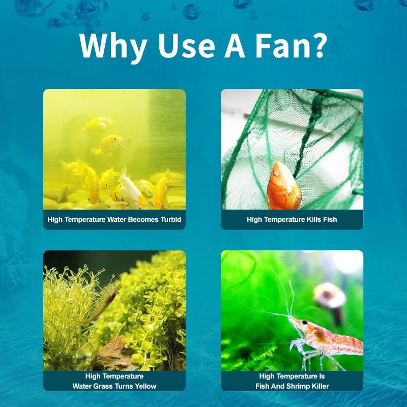 Jebao Jecod ACF Series Aquariu - Marine Aquarium Uk review and price