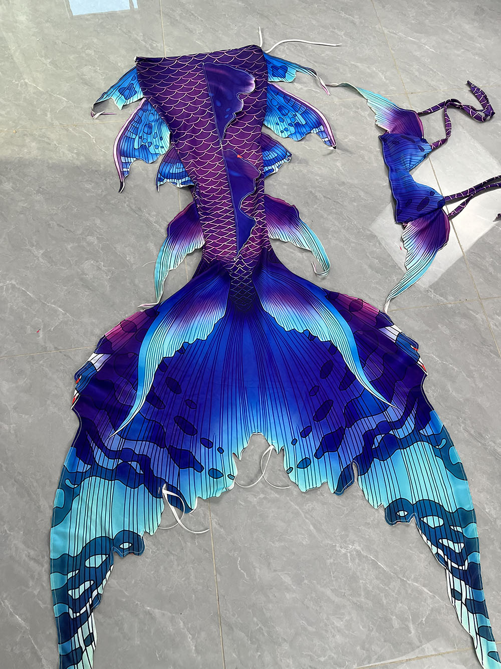 Colorful Dreamy Mermaid Tail A - Aquarium & Marine Museum Universiti Malaysia Sabah Kota Kinabalu Sabah Photos review and price