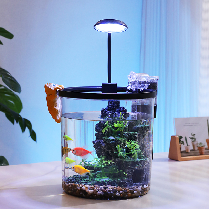 Compact Round Goldfish Bowl -  - Marine Aquarium With Sump review and price