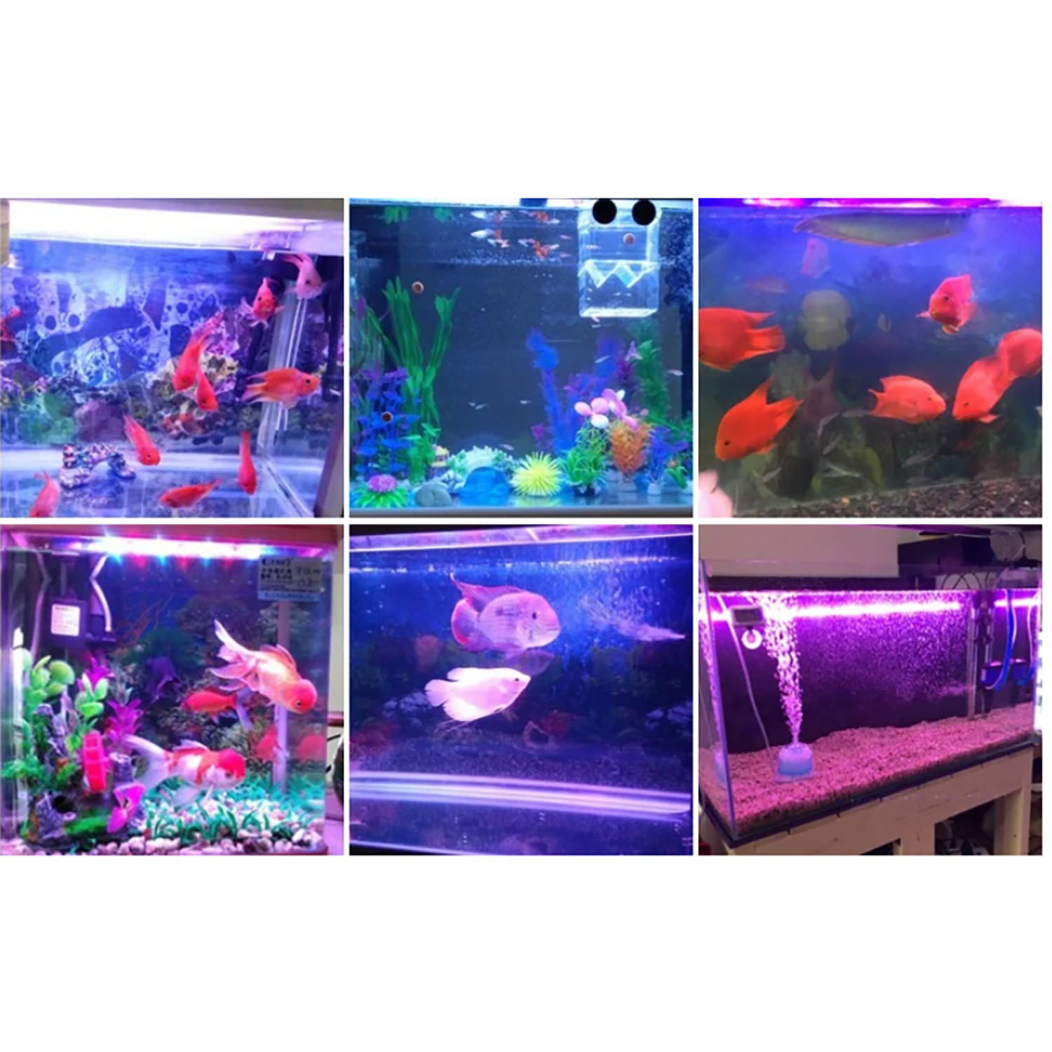 50W 60W 70W 100W RGB 26-28V Hi - Marine Aquarium Uv review and price