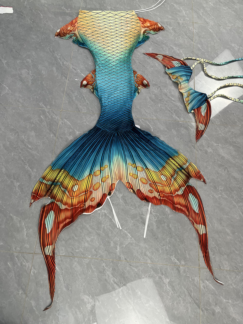 New Pattern Mermaid Tail Merma - Aquarium & Marine Museum Universiti Malaysia Sabah Kota Kinabalu Sabah Photos review and price