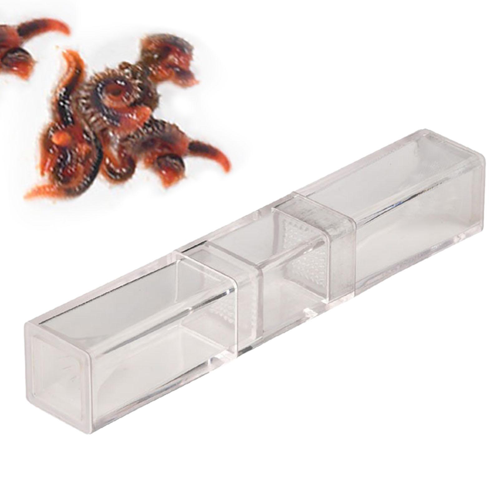 Aquarium Planaria Catcher for  - Marine Aquarium Worms review and price
