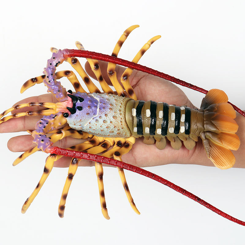 Realistic Marine Life Figurine - Marine Aquarium Hermit Crab review and price